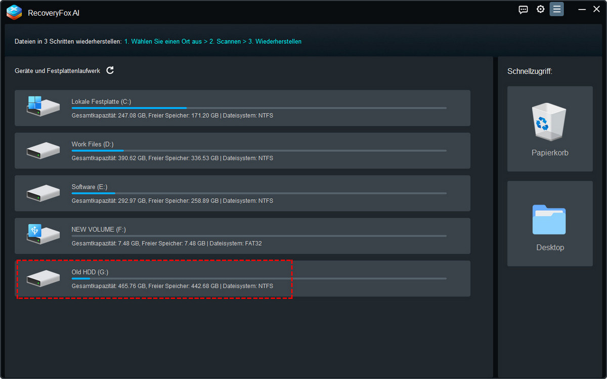 RecoveryFox KI-Startschnittstelle