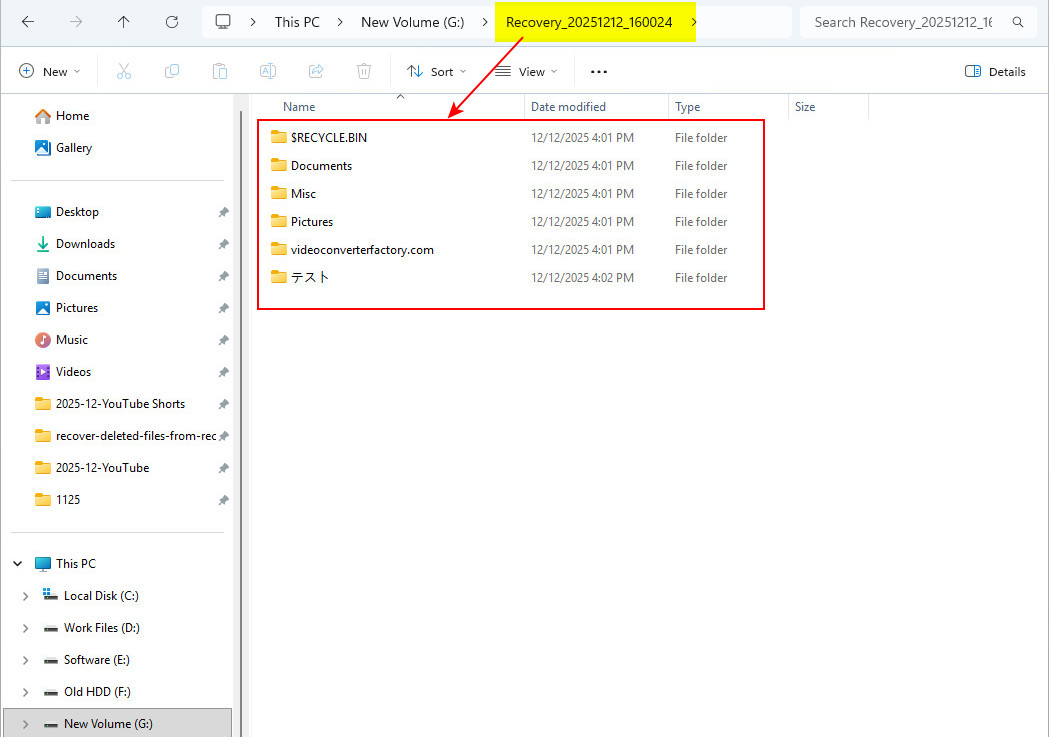 Alle wiederhergestellten verlorenen Dateien anzeigen